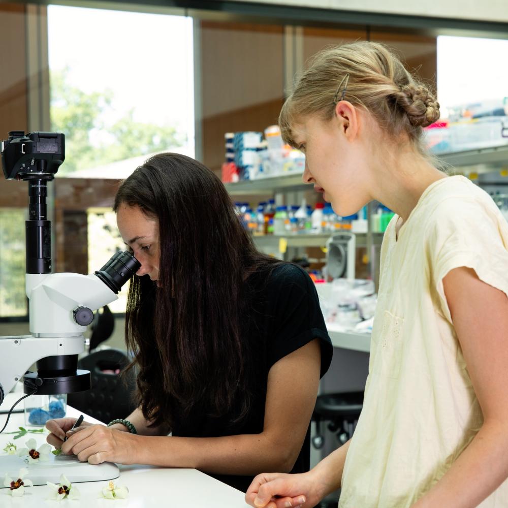 Students in a laboratory working with a microscope