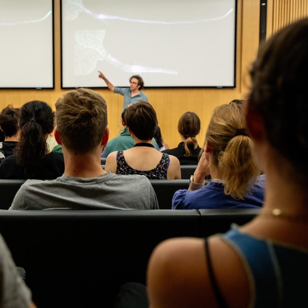 Students in a lecture listening to the lecturer in front of a whiteboard